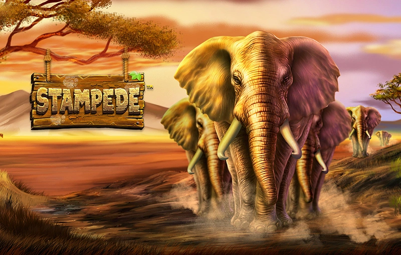 Stampede African safari themed slot with wild animals